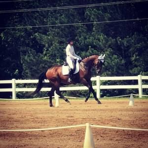 Meet your Posher, Mary